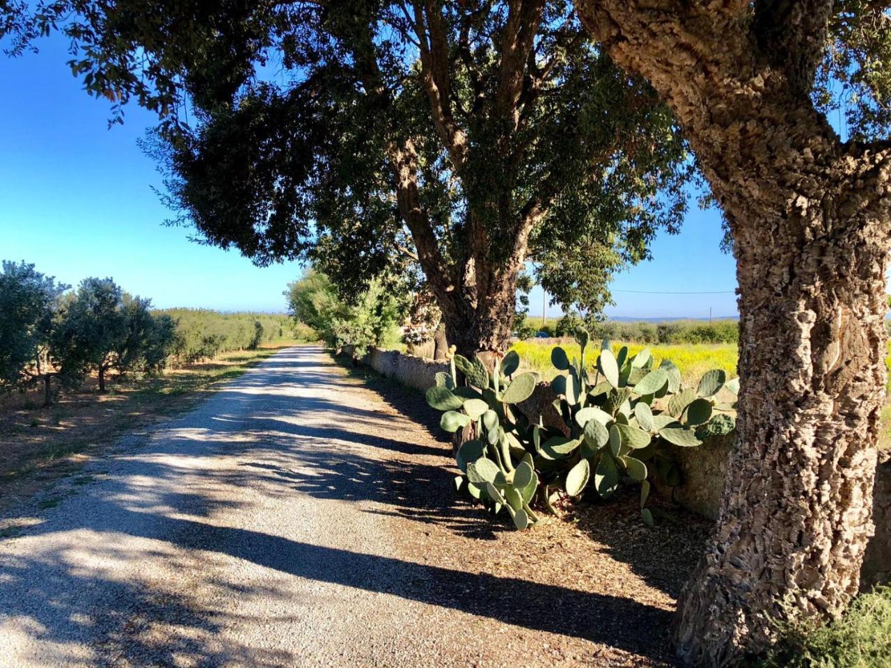 Agriturismo Ristorante Monte Argentario Exterior foto